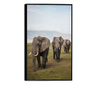 Uokvireni Plakati, Elephant Landscape, 50x 70 cm, Črn okvir