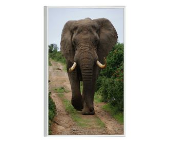 Uokvireni Plakati, Elephant Safari, 80x60 cm, Bijeli okvir