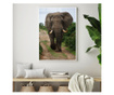 Uokvireni Plakati, Elephant Safari, 50x 70 cm, Bijeli okvir