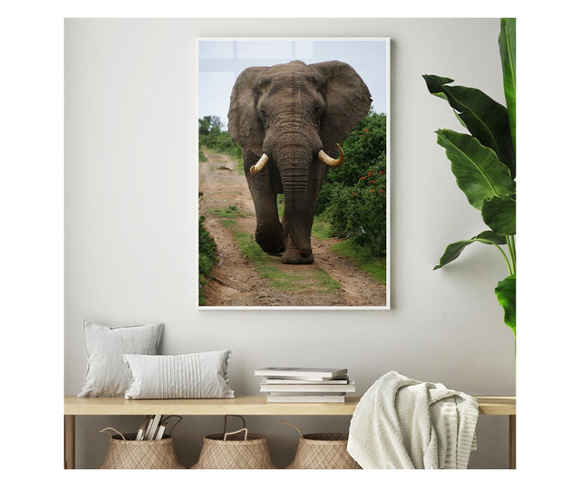 Uokvireni Plakati, Elephant Safari, 50x 70 cm, Bijeli okvir