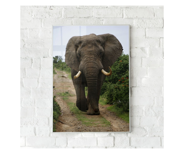 Uokvireni Plakati, Elephant Safari, 21 x 30 cm, Bijeli okvir