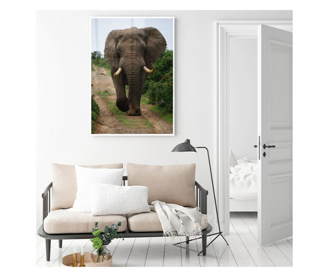 Uokvireni Plakati, Elephant Safari, 80x60 cm, Bijeli okvir