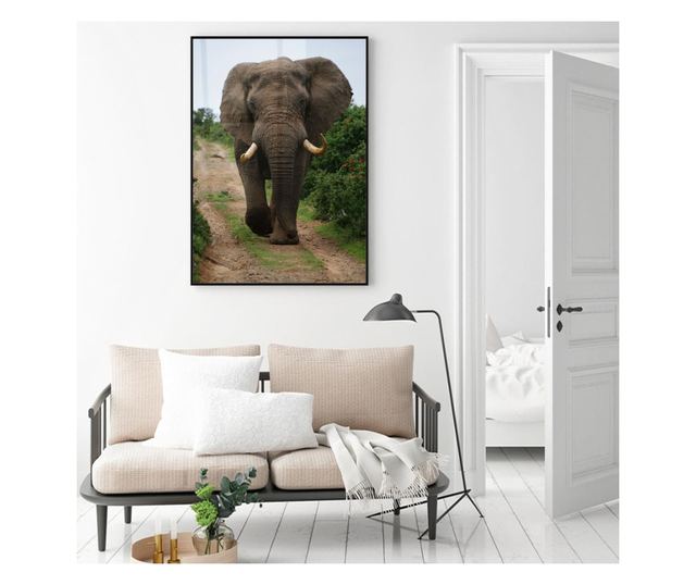 Uokvireni Plakati, Elephant Safari, 80x60 cm, Črn okvir