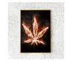 Uokvireni Plakati, Fire Marijuana, 50x 70 cm, Zlatni okvir