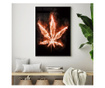 Uokvireni Plakati, Fire Marijuana, 80x60 cm, Črn okvir