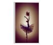 Uokvireni Plakati, Flower Ballerina, 21 x 30 cm, Bijeli okvir