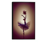 Uokvireni Plakati, Flower Ballerina, 80x60 cm, Črn okvir