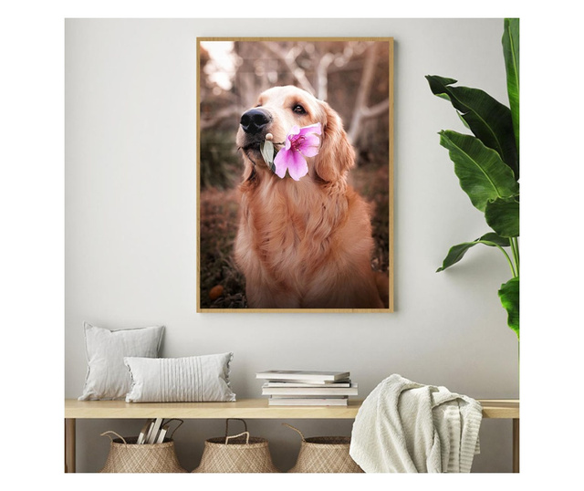Uokvireni Plakati, Flower Dog, 60x40 cm, Zlatni okvir