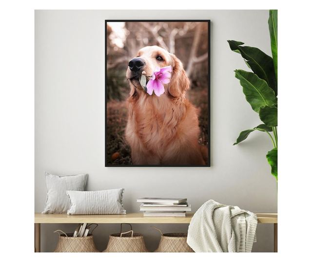 Uokvireni Plakati, Flower Dog, 42 x 30 cm, Črn okvir