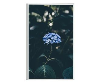 Uokvireni Plakati, Forest Blue Flower, 60x40 cm, Bijeli okvir