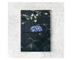 Uokvireni Plakati, Forest Blue Flower, 60x40 cm, Bijeli okvir