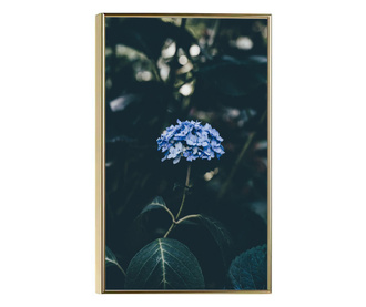 Uokvireni Plakati, Forest Blue Flower, 80x60 cm, Zlatni okvir