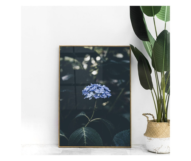 Uokvireni Plakati, Forest Blue Flower, 21 x 30 cm, Zlatni okvir