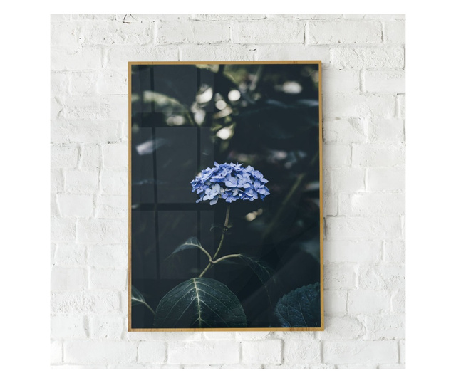 Uokvireni Plakati, Forest Blue Flower, 60x40 cm, Zlatni okvir