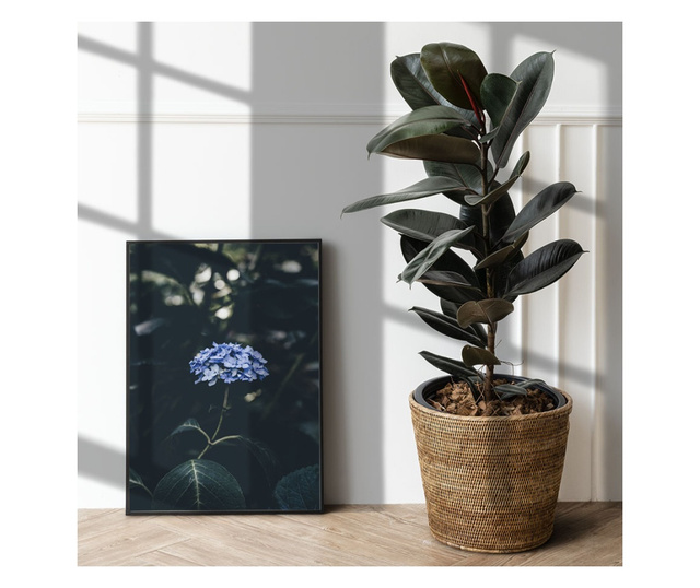 Uokvireni Plakati, Forest Blue Flower, 42 x 30 cm, Črn okvir