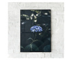 Uokvireni Plakati, Forest Blue Flower, 50x 70 cm, Črn okvir