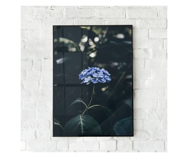 Uokvireni Plakati, Forest Blue Flower, 60x40 cm, Črn okvir