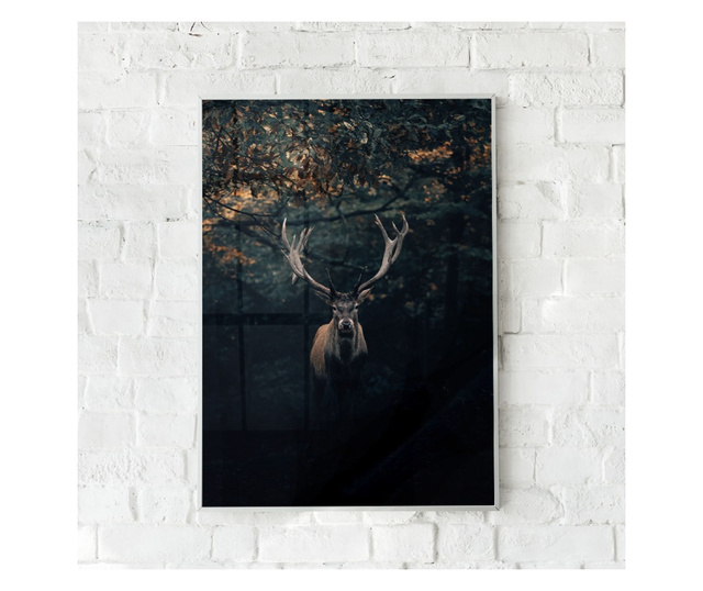 Uokvireni Plakati, Forest Deer, 80x60 cm, Bijeli okvir