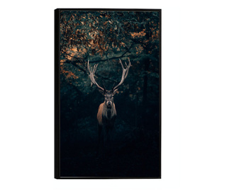 Uokvireni Plakati, Forest Deer, 60x40 cm, Črn okvir