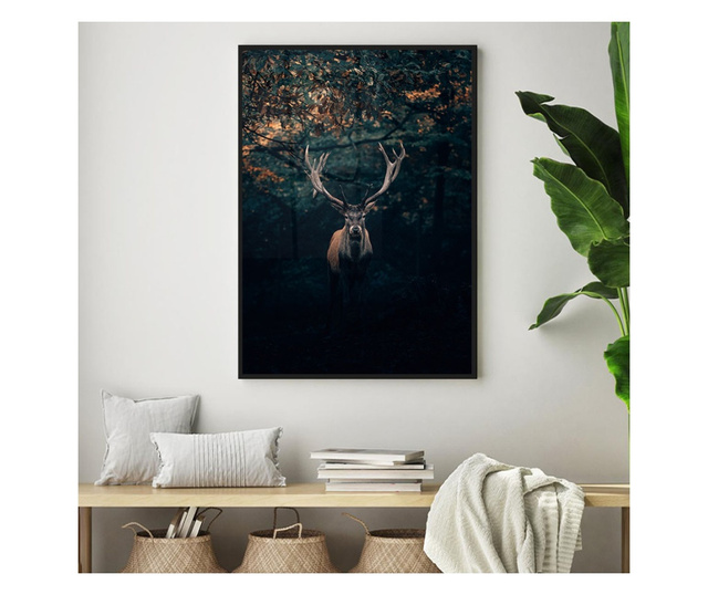 Uokvireni Plakati, Forest Deer, 80x60 cm, Črn okvir