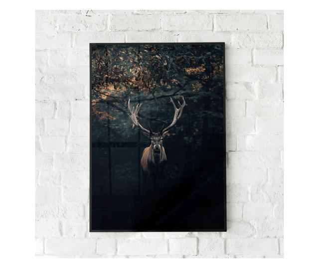 Uokvireni Plakati, Forest Deer, 21 x 30 cm, Črn okvir
