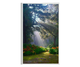 Uokvireni Plakati, Forest Light, 21 x 30 cm, Bijeli okvir