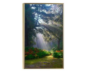 Uokvireni Plakati, Forest Light, 21 x 30 cm, Zlatni okvir