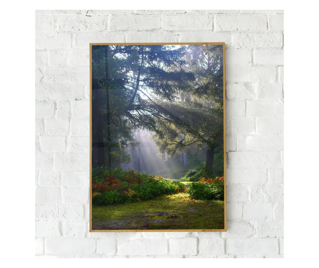 Uokvireni Plakati, Forest Light, 50x 70 cm, Zlatni okvir