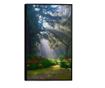 Uokvireni Plakati, Forest Light, 50x 70 cm, Črn okvir