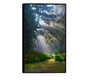 Uokvireni Plakati, Forest Light, 42 x 30 cm, Črn okvir