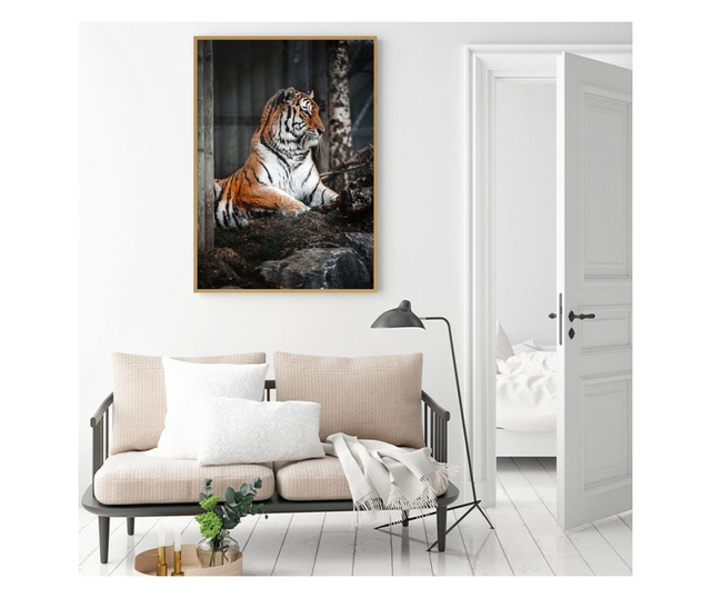 Uokvireni Plakati, Forest Tiger, 50x 70 cm, Zlatni okvir