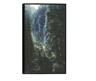 Uokvireni Plakati, Forest Vibes, 50x 70 cm, Črn okvir