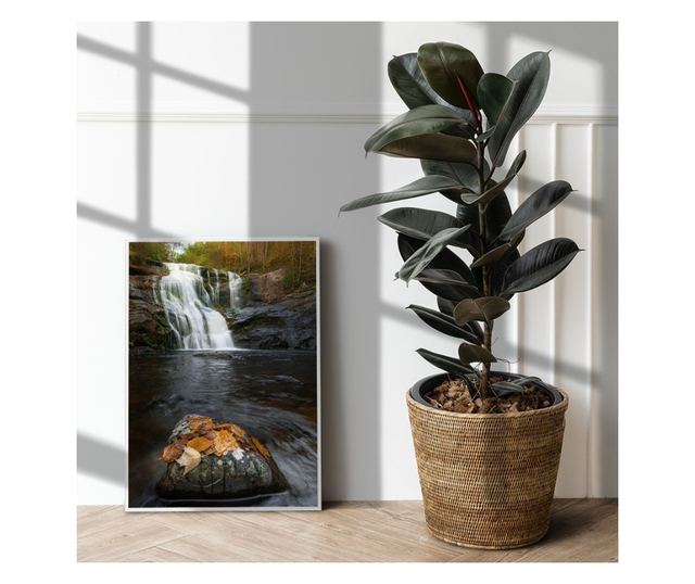 Uokvireni Plakati, Forest Waterfall, 50x 70 cm, Bijeli okvir