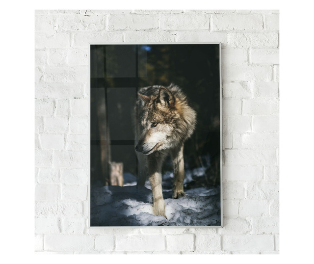 Uokvireni Plakati, Forest Wolf, 60x40 cm, Bijeli okvir