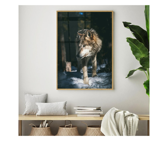 Uokvireni Plakati, Forest Wolf, 80x60 cm, Zlatni okvir