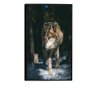 Uokvireni Plakati, Forest Wolf, 60x40 cm, Črn okvir