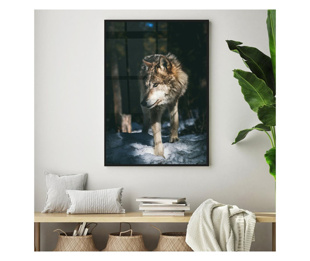 Uokvireni Plakati, Forest Wolf, 42 x 30 cm, Črn okvir