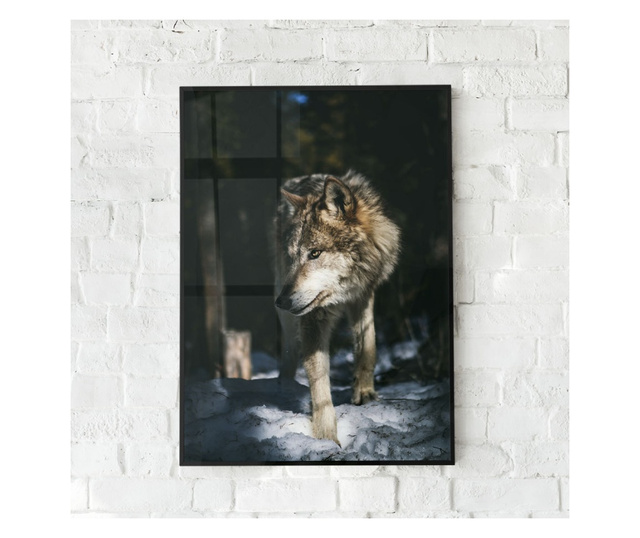 Uokvireni Plakati, Forest Wolf, 50x 70 cm, Črn okvir