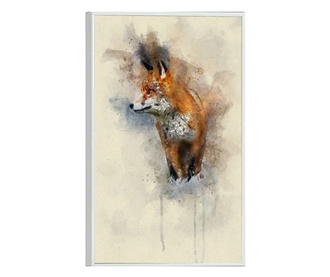 Uokvireni Plakati, Fox Spalsh, 60x40 cm, Bijeli okvir