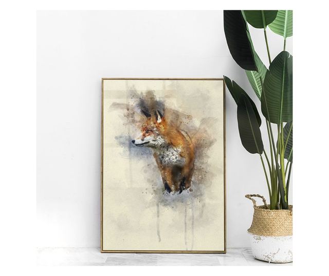 Uokvireni Plakati, Fox Spalsh, 21 x 30 cm, Zlatni okvir