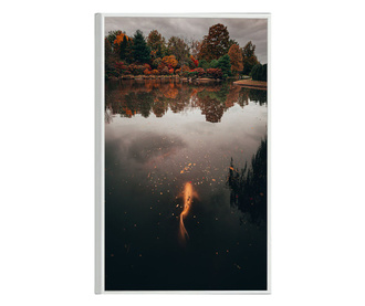 Uokvireni Plakati, Gold Fish in The Lake, 60x40 cm, Bijeli okvir