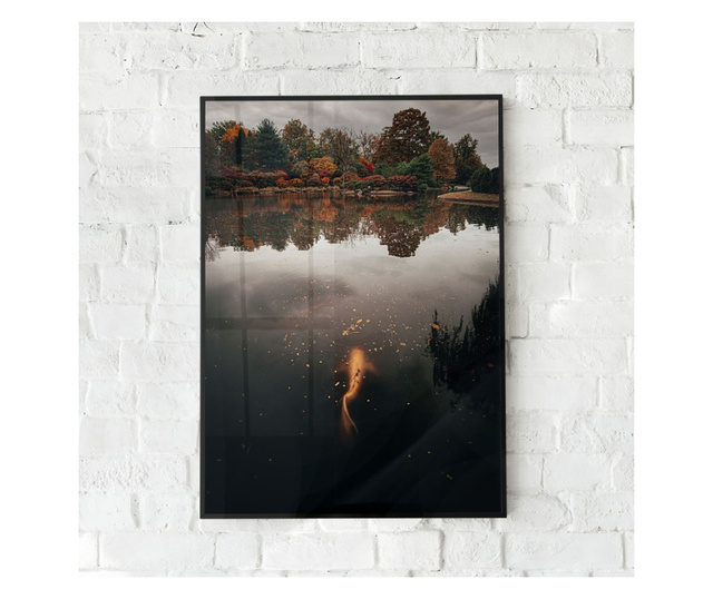 Uokvireni Plakati, Gold Fish in The Lake, 60x40 cm, Črn okvir