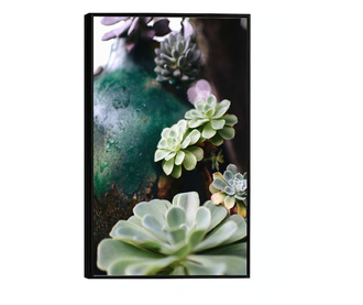 Uokvireni Plakati, Green Garden, 50x 70 cm, Črn okvir