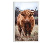 Uokvireni Plakati, Highland Cow, 80x60 cm, Bijeli okvir