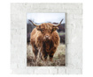 Uokvireni Plakati, Highland Cow, 60x40 cm, Bijeli okvir