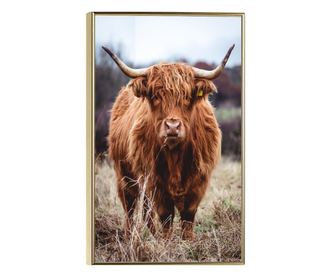 Uokvireni Plakati, Highland Cow, 42 x 30 cm, Zlatni okvir