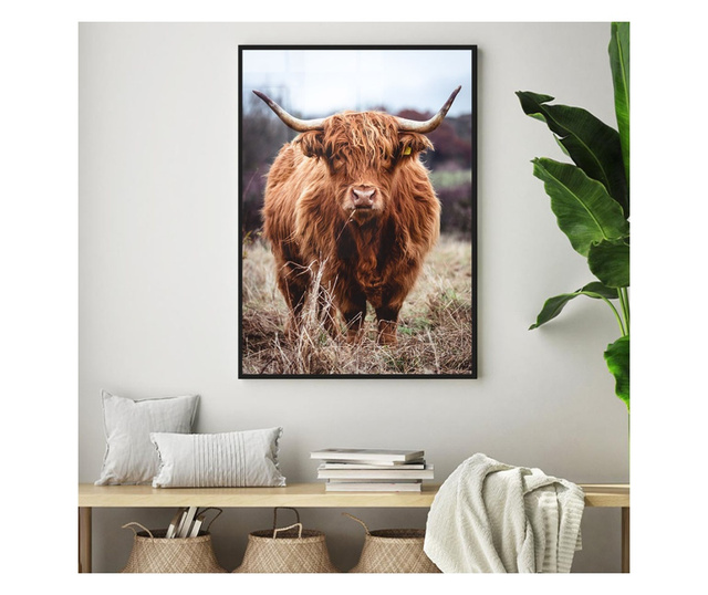 Uokvireni Plakati, Highland Cow, 80x60 cm, Črn okvir