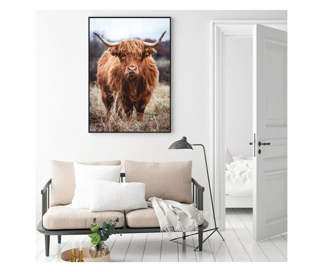 Uokvireni Plakati, Highland Cow, 50x 70 cm, Črn okvir