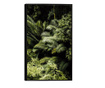 Uokvireni Plakati, Into the Jungle, 50x 70 cm, Črn okvir