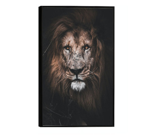 Uokvireni Plakati, Jungle KIng, 50x 70 cm, Črn okvir